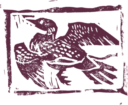 Bordered linocut print of a loon in flight